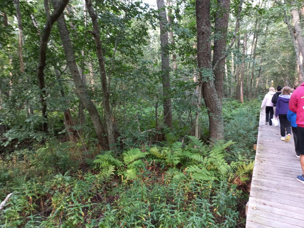 Kuvassa koululaiset kävelevät lehtometsässä. Kasvillisuus on rehevää. Valtapuuna kasvaa tervaleppiä ja aluskasvillisuutena saniaisia.